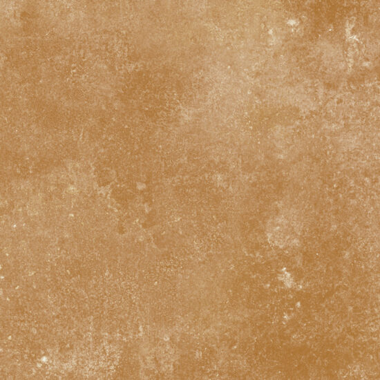 ragno epoca r55e.jpg