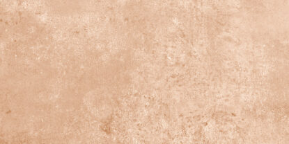 ragno epoca r55f.jpg