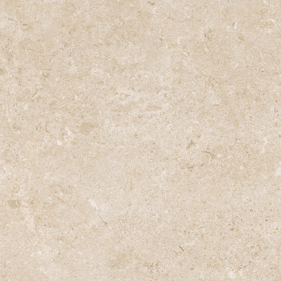 ragno eterna r8hz.jpg