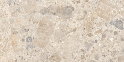 ragno eterna r8jn.jpg