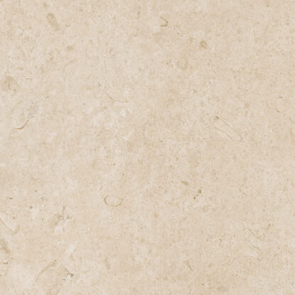 ragno eterna r8jt.jpg