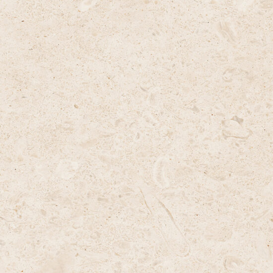 ragno eterna r8jz.jpg