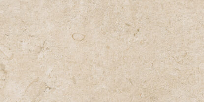 ragno eterna r8k0.jpg