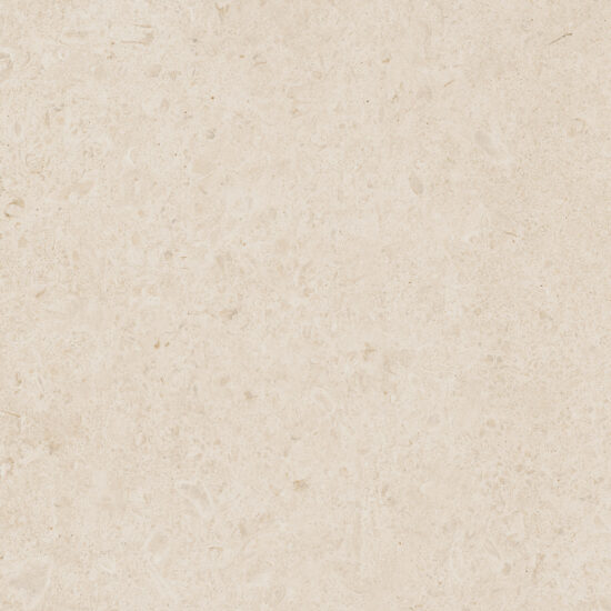 ragno eterna r8ka.jpg