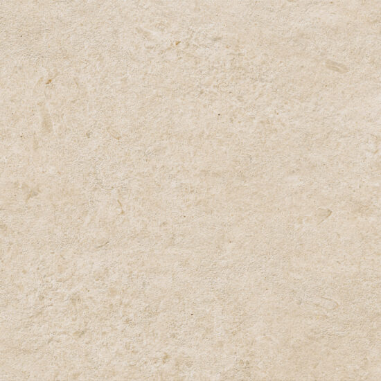 ragno eterna r8kd.jpg