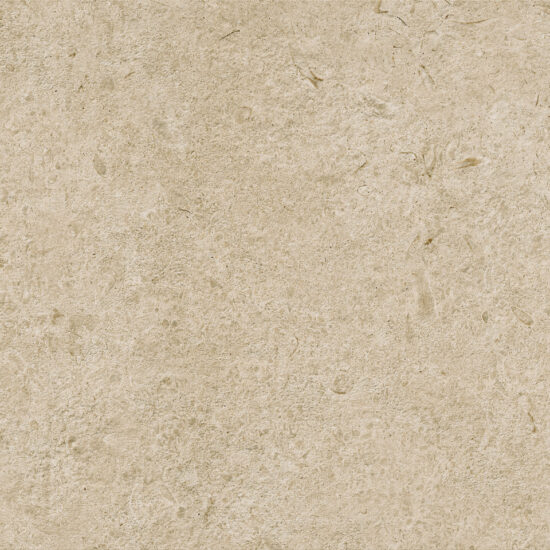 ragno eterna r8ke.jpg