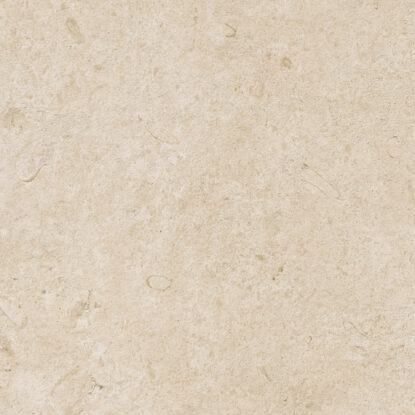 ragno eterna r8kk.jpg