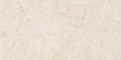 ragno eterna r8kr.jpg