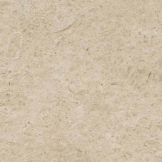 ragno eterna r8kt.jpg