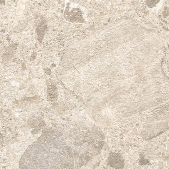 ragno eterna r8kv.jpg