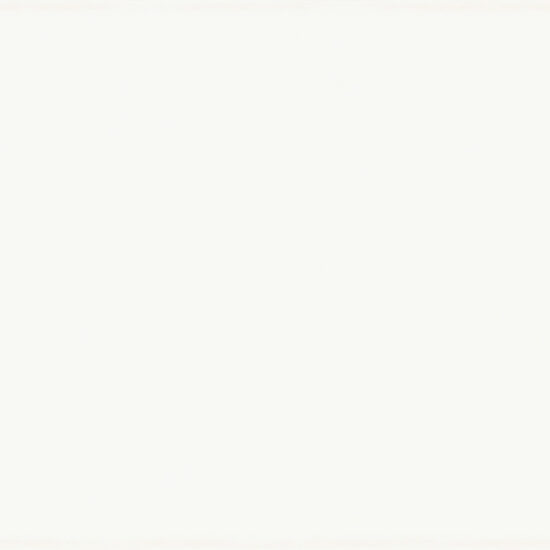 ragno frame r4xz.jpg