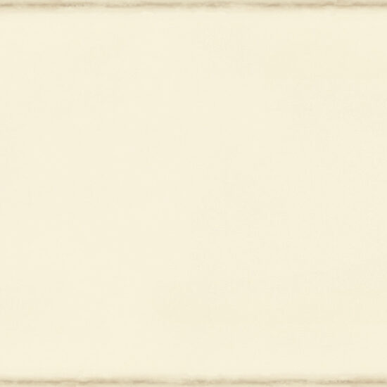 ragno frame r4ya.jpg