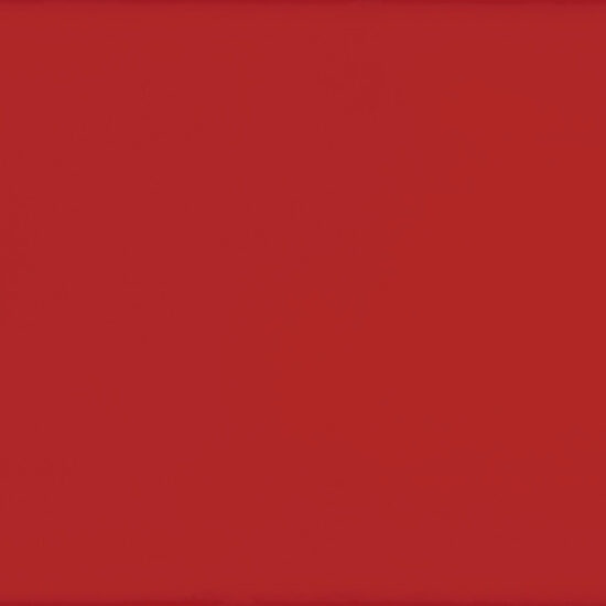 ragno frame r4yd.jpg