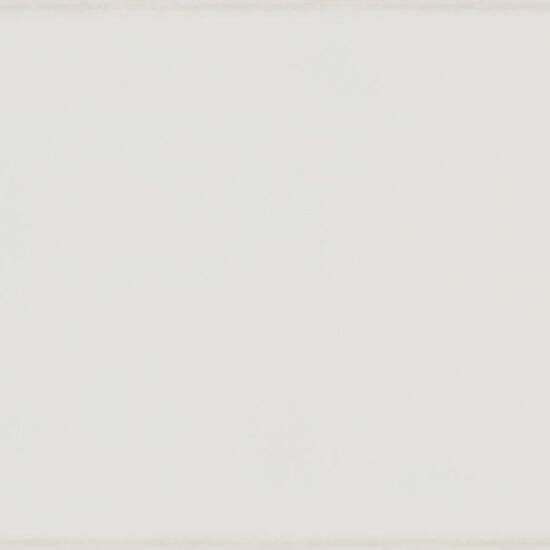 ragno frame r4ye.jpg