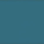 ragno frame r4yg.jpg