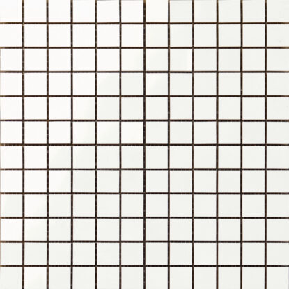 ragno frame r4yz.jpg