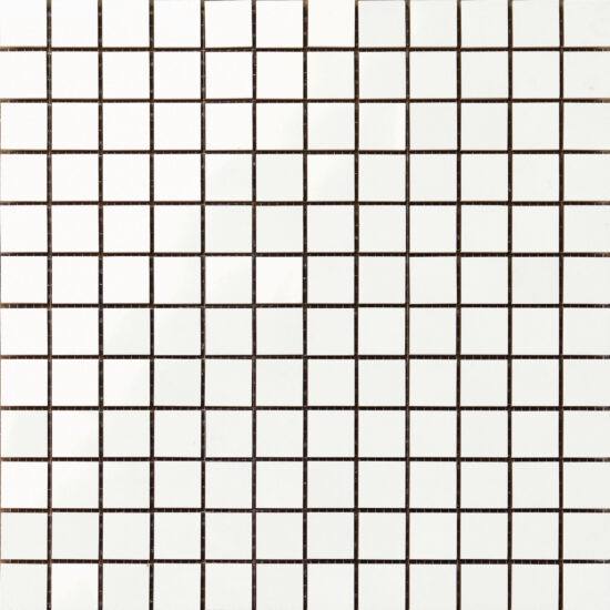 ragno frame r4yz.jpg