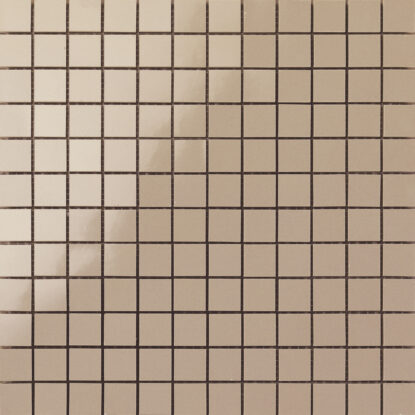 ragno frame r4zc.jpg