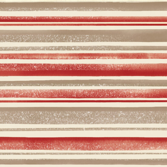 ragno frame r50s.jpg