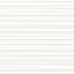 ragno freestyle r02c.jpg