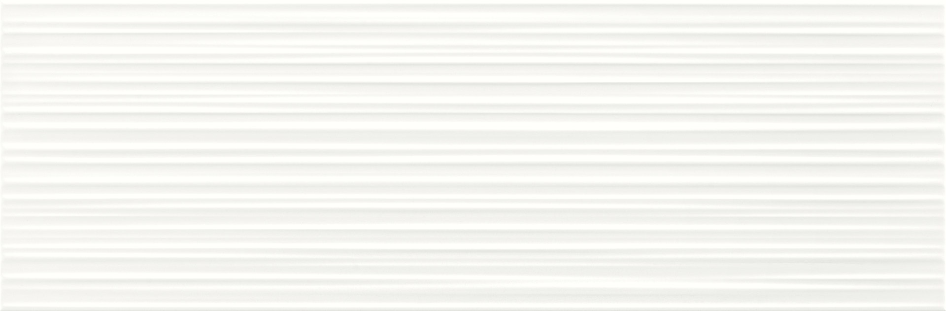 ragno freestyle r02c.jpg