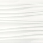 ragno freestyle r5qy.jpg