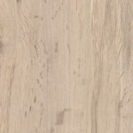 ragno grove ra4h.jpg