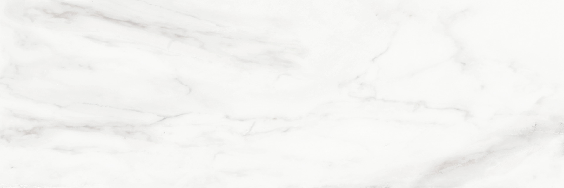 ragno imperiale r74d.jpg