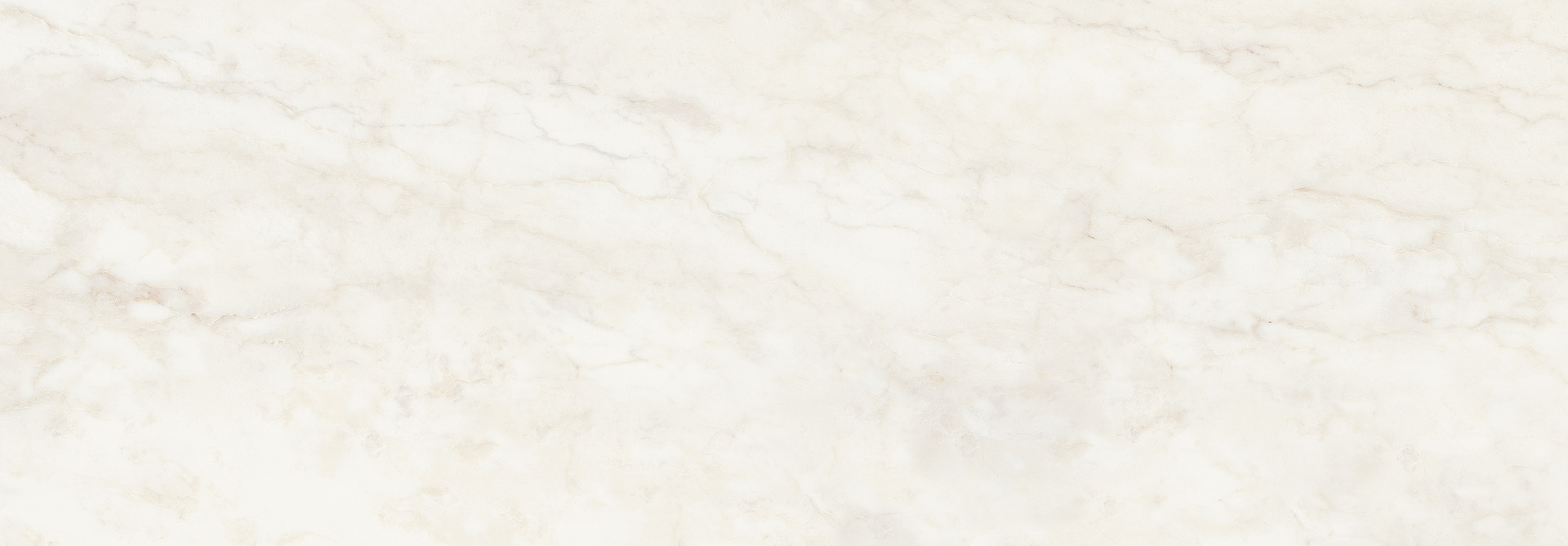 ragno imperiale r74f.jpg