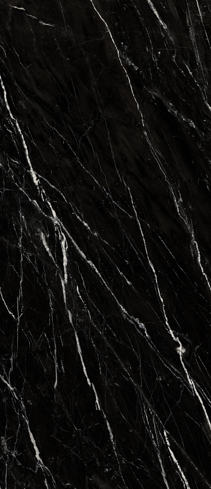 ragno incanto r8nw.jpg