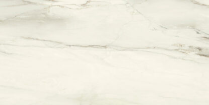 ragno incanto r8sh.jpg