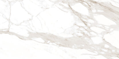 ragno incanto r8tr.jpg