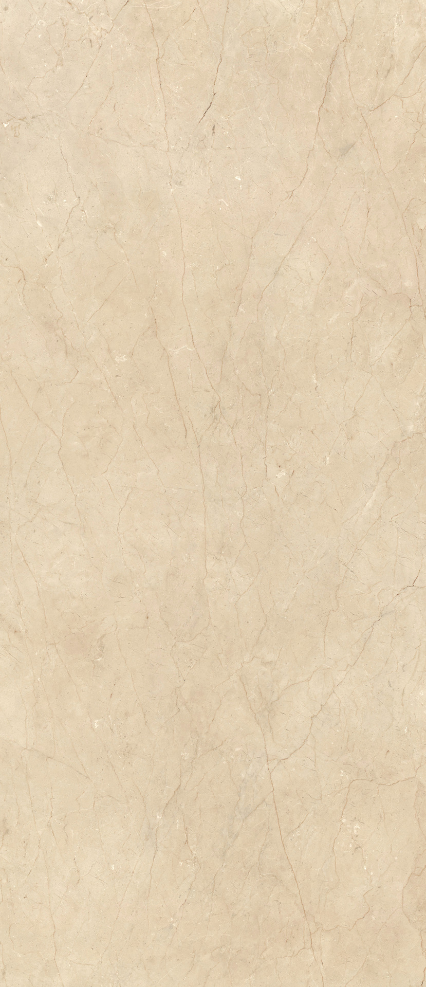 ragno incanto raae.jpg