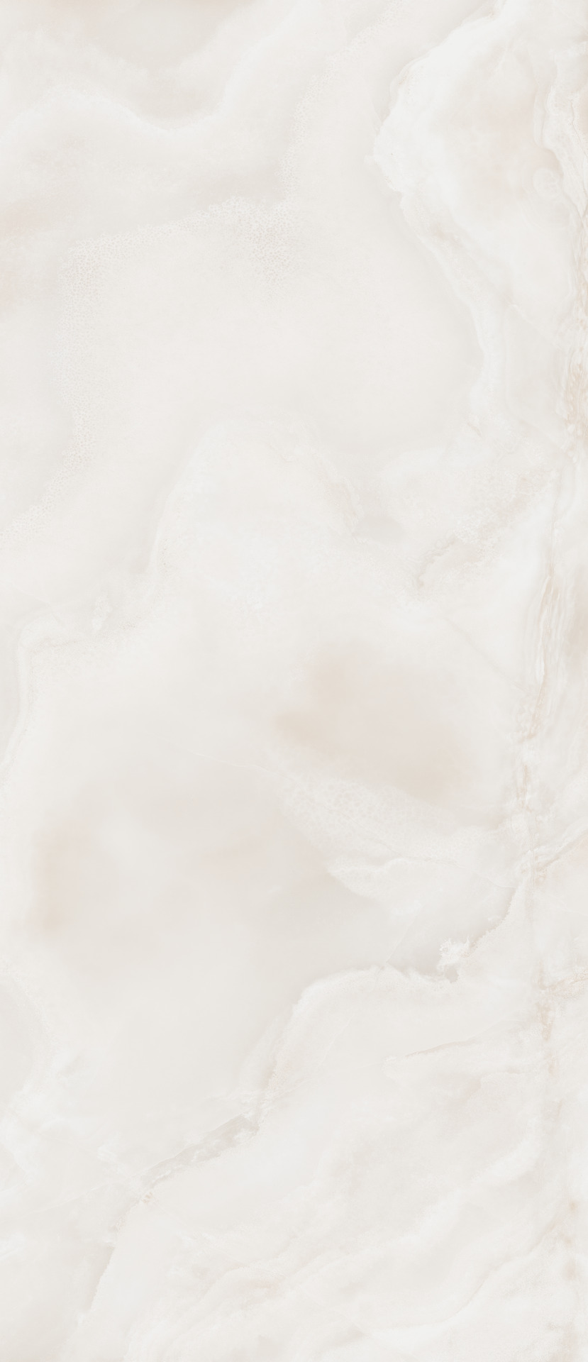 ragno incanto rdaw.jpg