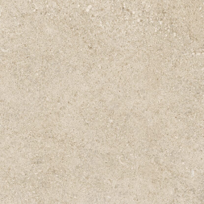 ragno kalkstone raj1.jpg