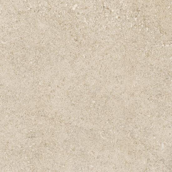ragno kalkstone raj1.jpg