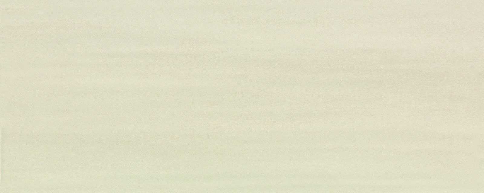 ragno land r4cy.jpg