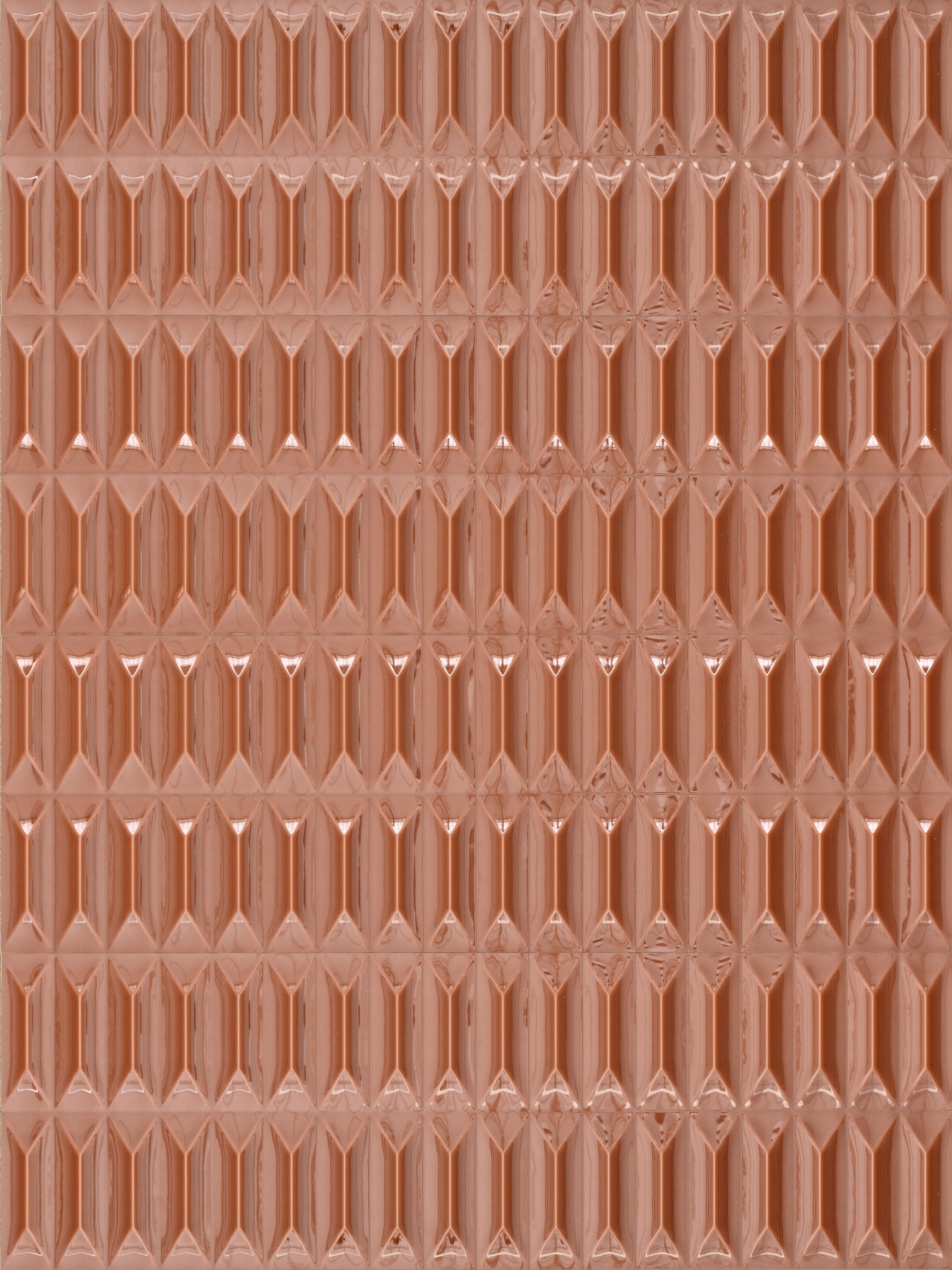 ragno lucida rcrc.jpg