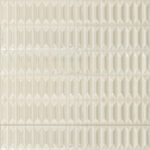 ragno lucida rcrd.jpg