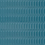 ragno lucida rcre.jpg