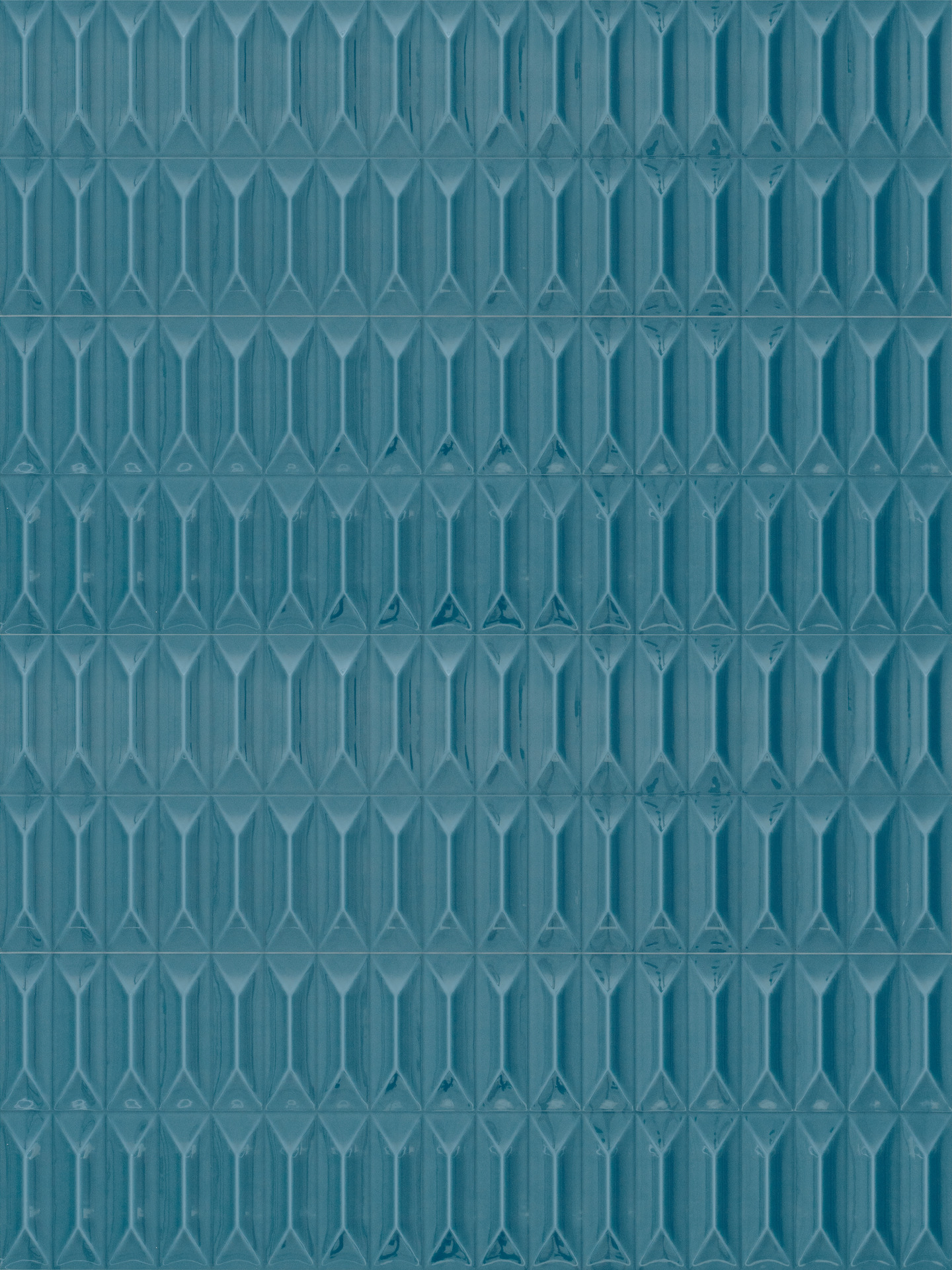 ragno lucida rcre.jpg