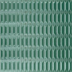 ragno lucida rcrg.jpg