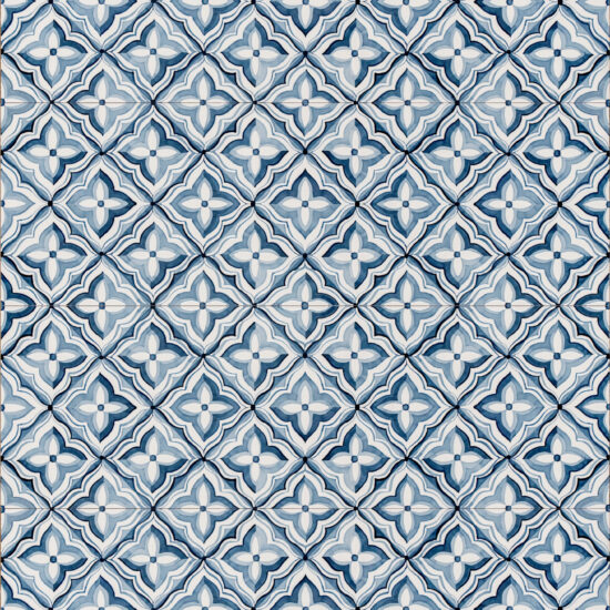 ragno lucida rcs1.jpg