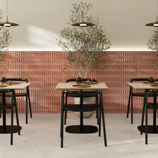 ragno lucida 012.jpg