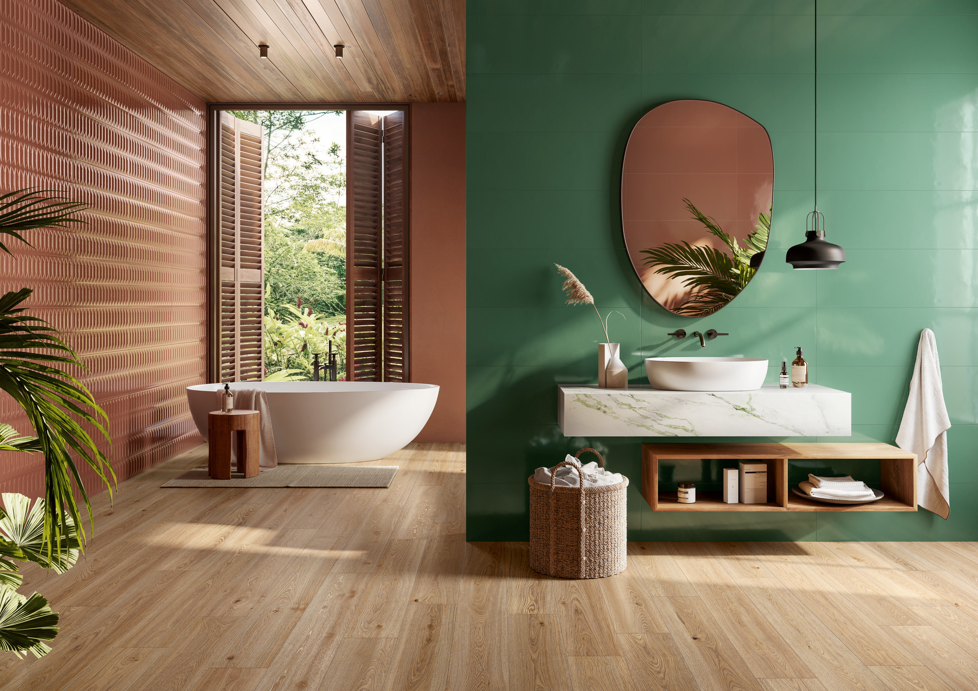 ragno lucida 015.jpg