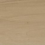 ragno usa mt royale mr01.jpg