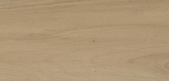 ragno usa mt royale mr01.jpg