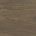 ragno usa mt royale mr02.jpg