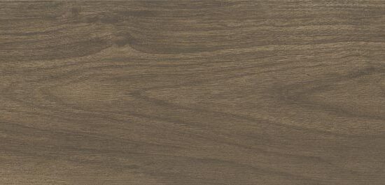 ragno usa mt royale mr02.jpg