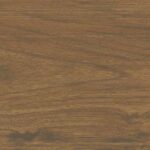 ragno usa mt royale mr04.jpg